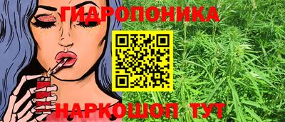 хмурый Тара