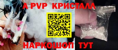 хмурый Тара