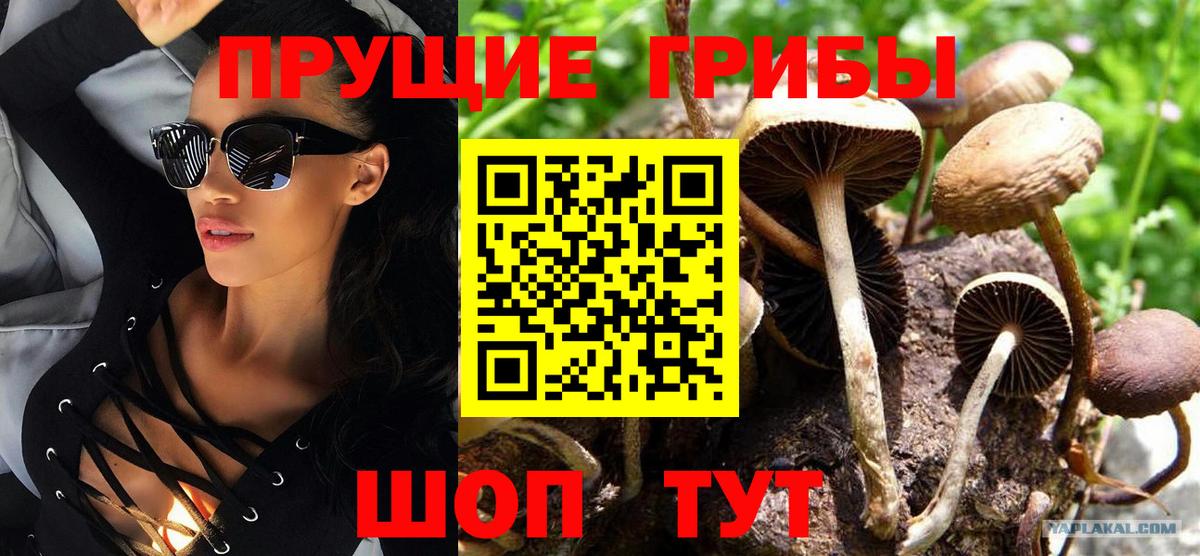 Галлюциногенные грибы мухоморы  Вход с VPN  Нальчик 